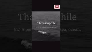 Lets increase your vocabulary one word at a time Thalassophile shorts shortvideo short [upl. by Alida]