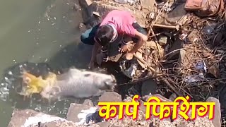 cyprinus carp fishing शिफरन मासे पकडणे tigerfishing [upl. by Louisa]