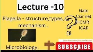 Flagella structureTypesMachanism of actionMovement MicrobiologyBacterialHindi biology [upl. by Aissat951]