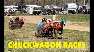 Chuckwagon Races [upl. by Mirielle39]