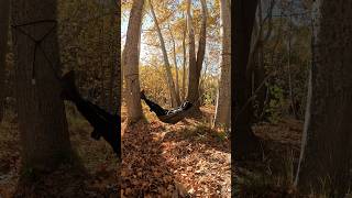 survival skill  Building a hammock with a blanket 🤯😴 bushcraft camping nature tricks hammock [upl. by Grados]