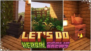 Lets Do HerbalBrews Minecraft Mod Showcase  Teas Brews amp Farming  Forge amp Fabric 1201 [upl. by Robbie50]