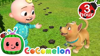 Where Has My Little Dog Gone   Cocomelon  Nursery Rhymes  Fun Cartoons For Kids [upl. by Steinke539]