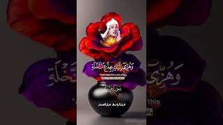 قرآن بصوت حزينتلاوة نادرة للشيخ عبد الباسط رحمه اللهshorts [upl. by Llenehs446]