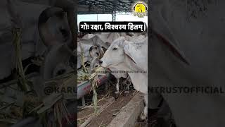 गोः रक्षा विश्वस्य हितम् cowprotection animalwelfare animalrights veganism [upl. by Farra]