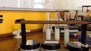 AQA Required Practical  identifying ions Test for Halide Ions [upl. by Waers]