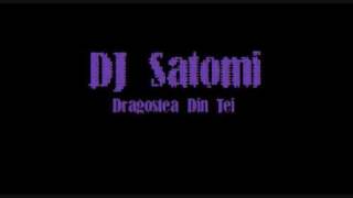 DJ Satomi  Dragostea Din Tei [upl. by Hafler264]