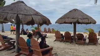 Chankanaab Park Review Cozumel Shore Excursion [upl. by Eile]