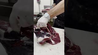 Removing the Deer Femur Bone 🔪🦌 shorts deer venison butcher [upl. by Dolan]