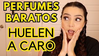 10 PERFUMES BARATOS QUE HUELEN A CARO [upl. by Simah670]