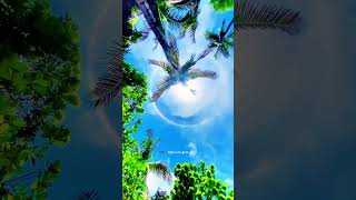 Sun kissvideo travel youtube shortvideo [upl. by Eirod]