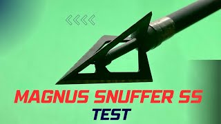 MAGNUS SNUFFER SS 125 gr Broadhead Test [upl. by Alvy]