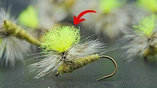 BEST Dry Fly To Use As A Mayfly [upl. by Yelsiap]