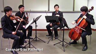 Canon in D by Pachelbel Vetta Quartet from Singapore [upl. by Atazroglam934]