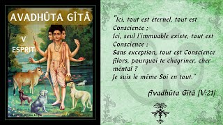 Avadhuta Gita  V  Esprit Advaita [upl. by Anevad]