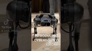 Heres Xiaomis new smart dog robot CyberDog What do you think [upl. by Lemay155]