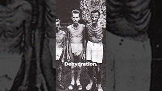 Bataan Death March A Dark Chapter of WWII ww2 militaryhistory history [upl. by Abert62]