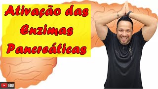 Ativação das Enzimas Pancreáticas  Tripsina Quimotripsina e Carboxipolipeptidase  Digestão [upl. by Luna]