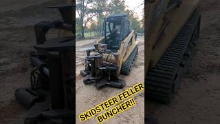 Homemade skid steer feller buncher tree shear [upl. by Yearwood]