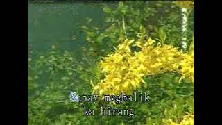 Bakas Ng Lumipas by Eddie Peregrina  Karaoke [upl. by Oizirbaf]