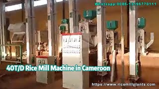 40td Rice Mill PlantRice Process Machine in Cameroonhongjia Grain Machinery ricemillsupplier [upl. by Gardal]