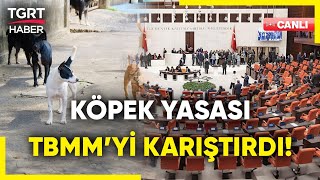 Acılı Ailelere Acımasız Tepki Sokak Köpekleri Yasası TBMM’de Büyük Tartışma Çıkardı – TGRT Haber [upl. by Soisatsana]