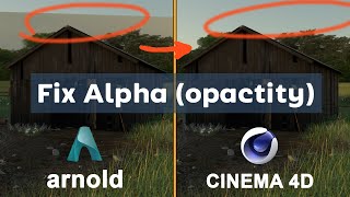 Opacity map alpha map  Arnold C4D Quick Tips [upl. by Orford]