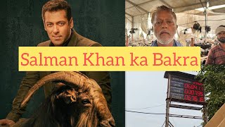 Salman khan Shahrukh Khan ka Bakra at Deonar Bakra Mandi 2024  Asia’s Largest Goat market [upl. by Jez]