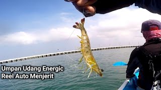 Sesuai HarapanBesok  Besok Harus Di Coba Lagi  Mancing Di Benoa Bali [upl. by Assirual824]