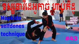 Hapkidos master training how to selfdefense kicks punching hapkido 43 [upl. by Airrehs]