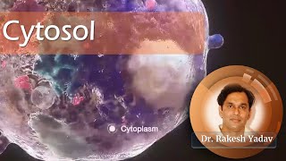 Cytosol  Dr Rakesh Yadav  cell cellbiology cytology introductiontobiology cytoplasm [upl. by Sivert]