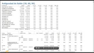 Reporte Antiguedad de Saldos 306090 [upl. by Tsirc]