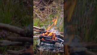 Camping in HEAVY rain in the Tentsile tree tent camping campingintherain treetent wildcamping [upl. by Pratte]