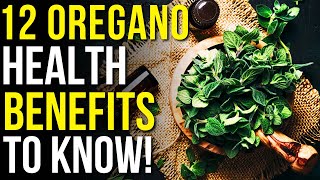 12 Benefits of Oregano You Should Know  Oregano Health Benefits [upl. by Anul]