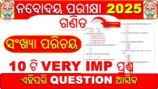 Navodaya vidyalaya entrance 2025  navodaya vidyalaya entrance exam 2025 class 6  number system [upl. by Adnaluoy]