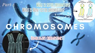 Chromosomes PART 2 genetics biology biostudies [upl. by Notserc625]