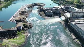 Willamette Falls  Oregon City [upl. by Weeks960]