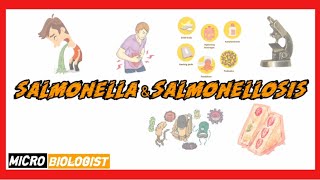 Salmonellosis  causes symptoms diagnosis treatment pathology [upl. by Harve]