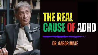 ADHD The TRUTH You NEED to Know with Dr Gabor Maté [upl. by Nonnerb]