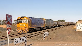 9147 Broad Gauge Pacific National Grain Train At Gheringhap 2422024  PoathTV Australian Railway [upl. by Avlem]