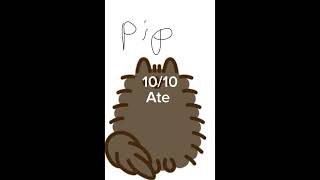 Rating pusheen [upl. by Streetman]