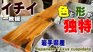 【両面楽しめる】イチイ一枚板オイル×オイル仕上げ【木の店さんもく】How To Apply OSMO PolyX Oil To Japanese Taxus cuspidata [upl. by Ahsetel]