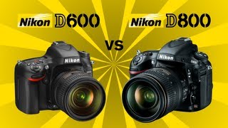 Nikon D600 v Nikon D800 [upl. by Ahselyt]