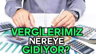 VERGİLERİMİZ NEREYE GİDİYOR [upl. by Cohe]