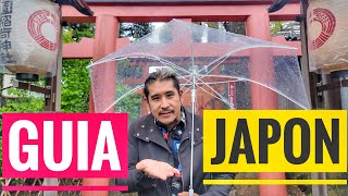 🚅 La guia DEFINITIVA para viajar a JAPON [upl. by Siblee999]