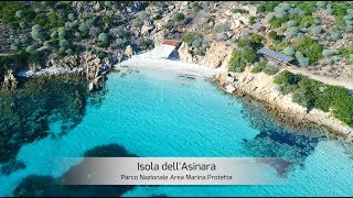 Isola dellAsinara perla del Mediterraneo  Sardegna  Italia [upl. by Esdras]