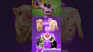 Peppy Pig 🆚 Piggy 🆚 Puppy 🆚 Kitten  Tiles Hop 🪩 [upl. by Danie367]