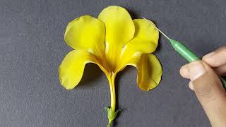 Allamanda flower dissection  Family Apocynaceae  AllAboutBiology [upl. by Fidela]