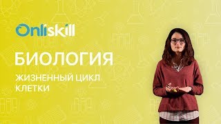 Биология 10 класс  Жизненный цикл клетки [upl. by Weaks]