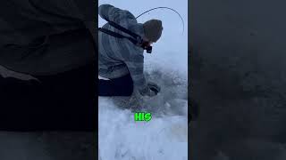 He Pulled This Monster from Ice [upl. by Raynor849]